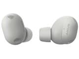 SONY ソニー ワイヤレスイヤホン WF-1000XM6 SZ プラチナシルバー 4548736171817